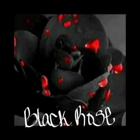Black Rose Exquisite Body Care