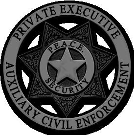 Peace Security LLC