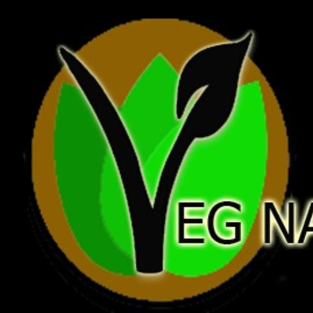 VEG NATION LLC
